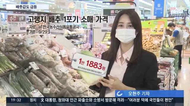 食品輸送帶廠家：韓國大白菜漲價(jià)至62元一棵怎么回事